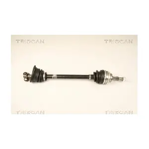 8540 25624 TRISCAN