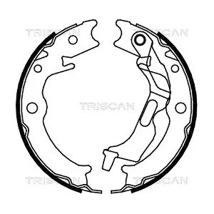 TRISCAN 810021001