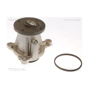 860043026 TRISCAN