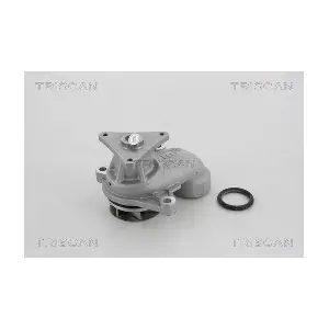 860043012 TRISCAN