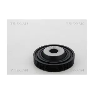 TRISCAN 8643 16004