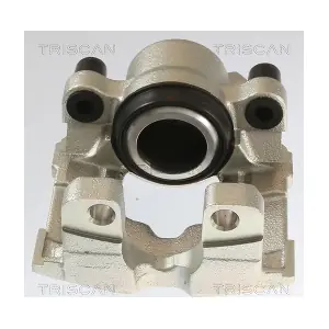 8175 11105 TRISCAN