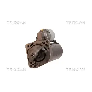 8305 29030 TRISCAN