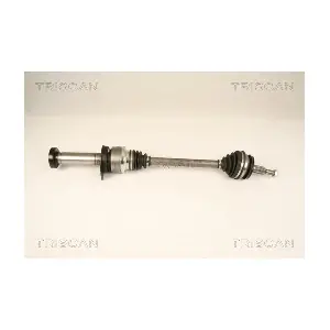 8540 29666 TRISCAN