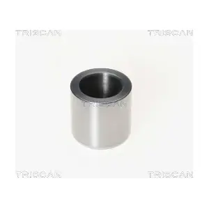 8170 233005 TRISCAN