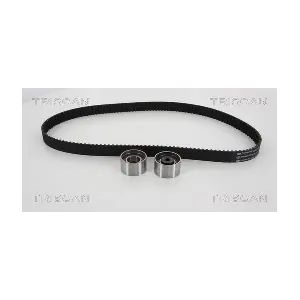 TRISCAN 8647 50015