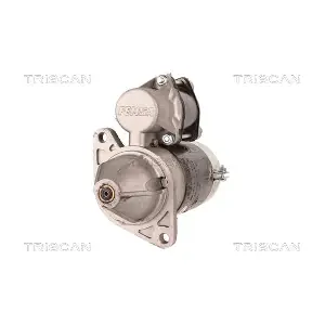 TRISCAN 8305 10038