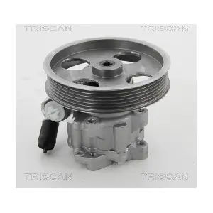 8515 15621 TRISCAN