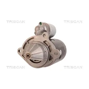 8305 29021 TRISCAN