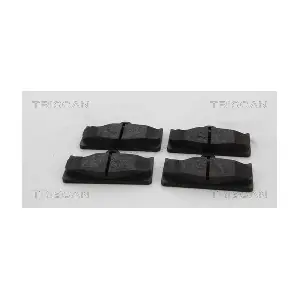 TRISCAN 8110 13104
