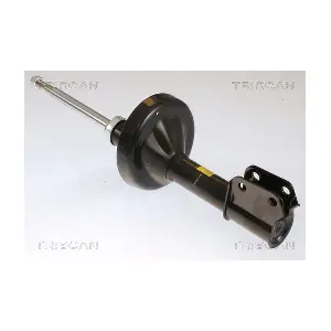 870525104 TRISCAN