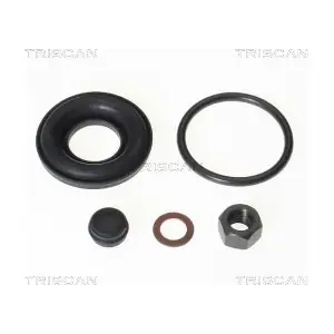 8170 203807 TRISCAN