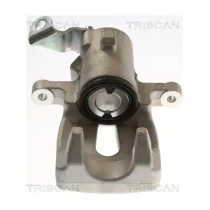 TRISCAN 8175 25220