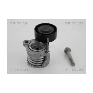TRISCAN 8641 241004