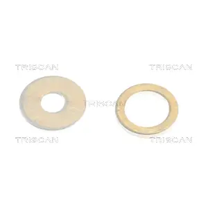 596-1010 TRISCAN