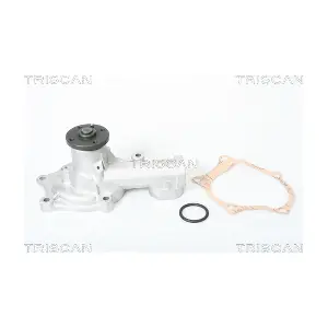 TRISCAN 860042002