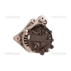 TRISCAN 8310 25013