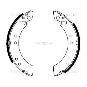 TRISCAN 810010280