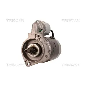 8305 10099 TRISCAN