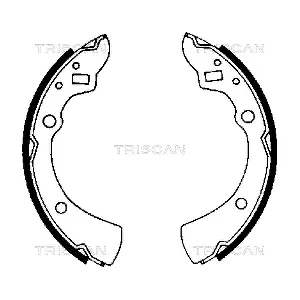 810050359 TRISCAN