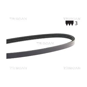 8640 300738E TRISCAN