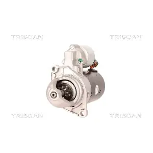 8305 13011 TRISCAN