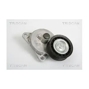 TRISCAN 8641 163005