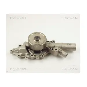 854610 TRISCAN