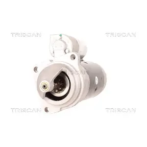 TRISCAN 8305 10031