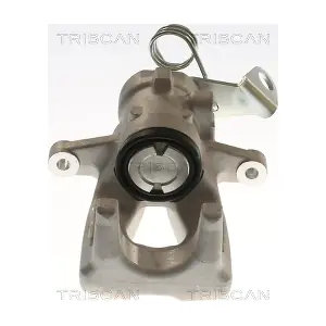 8175 16223 TRISCAN