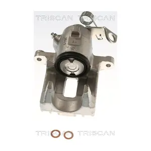 8175 29218 TRISCAN
