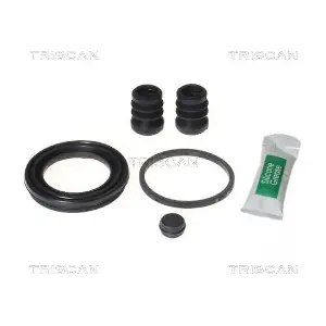 8170 204884 TRISCAN