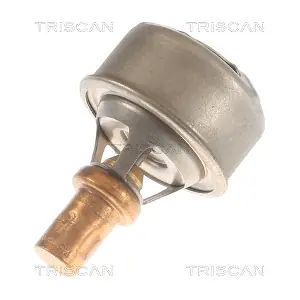 TRISCAN 862013091