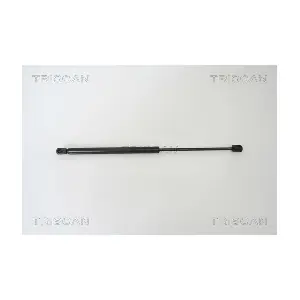 8710 67209 TRISCAN