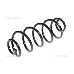 875028158 TRISCAN