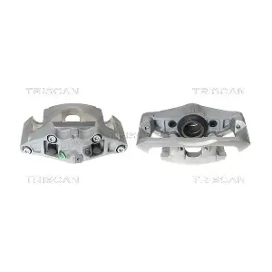 TRISCAN 8170344812