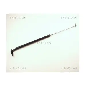 8710-13245 TRISCAN