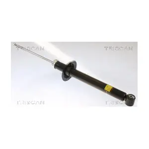 8705 25207 TRISCAN