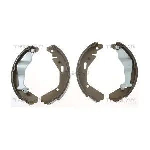 TRISCAN 810010024