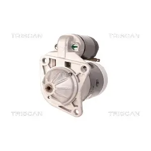 8305 29070 TRISCAN