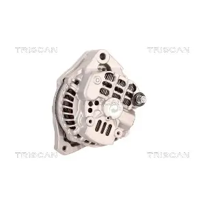 TRISCAN 8310 10024
