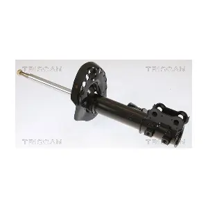 870543105 TRISCAN