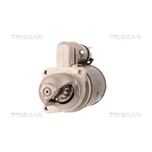 TRISCAN 8305 43019