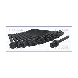 TRISCAN 98-1715