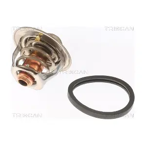 TRISCAN 8620 52674