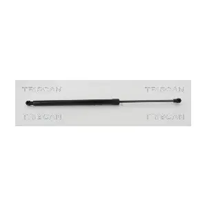 8710 42244 TRISCAN