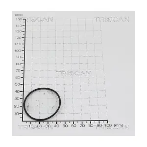 TRISCAN 8813 9974