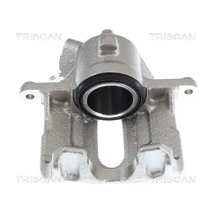 TRISCAN 8175 25105
