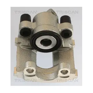 TRISCAN 8175 11202