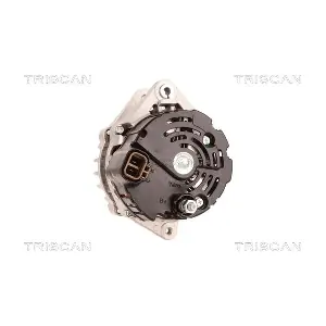 8310 11019 TRISCAN